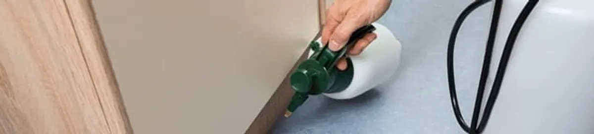 Bed bug exterminator treating baseboards and cracks with targeted spray in Ogden, UT