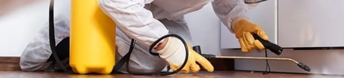 Roach exterminator treating cracks and crevices along kitchen baseboards in Ogden, UT
