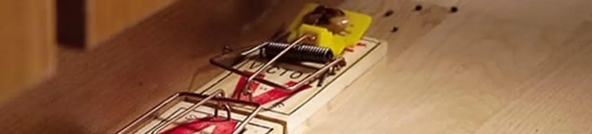 Rodent trap set indoors for rodent control and prevention in Ogden, UT